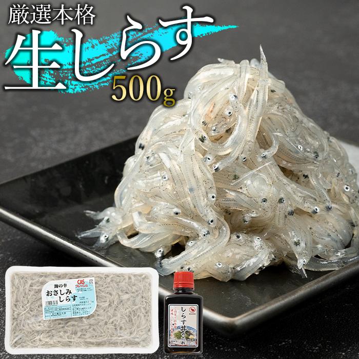 訳アリ 厳選生しらす 500g おさしみしらす