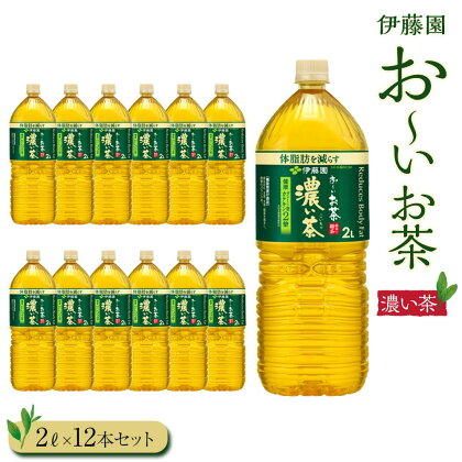 お～いお茶　濃い茶2L　12本セット | 伊藤園 カテキン ぺットボトル飲料 送料無料 健康 おーいお茶 飲料 ソフトドリンク まとめ買い 常備品