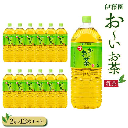 お～いお茶　緑茶2L　12本セット | 伊藤園 カテキン ぺットボトル飲料 送料無料 健康 おーいお茶 飲料 ソフトドリンク まとめ買い 常備品