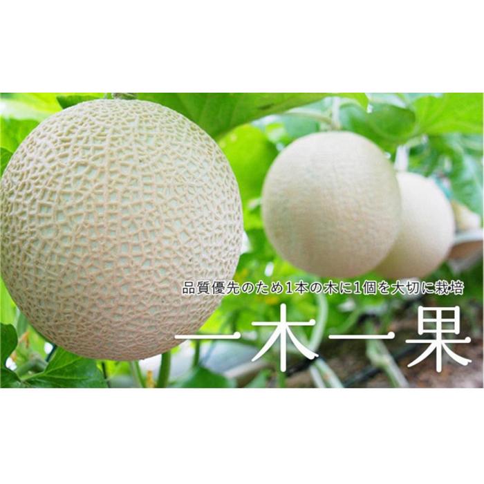 【ふるさと納税】贈答用 静岡アローマメロン 極上山級 1.4kg 6個セット | フルーツ 果物 くだもの 食品 人気 おすすめ 送料無料