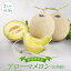 【ふるさと納税】御前崎市産アローマメロン(山等級)2玉入り 40,000円