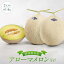 【ふるさと納税】御前崎市産アローマメロン(白)2玉入り 25,000円