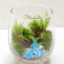 【ふるさと納税】【手づくりキット】グラスビン 苔テラリウム【インテリア】1セット 苔×3種類 テラリウム 苔リウム 苔 コケ ホソバオキナゴケ ヒノキゴケ コツ...