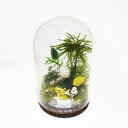 【ふるさと納税】【さとリウム®】プリザーブド加工の テラリウム 春 1セット 苔テラリウム ガラス瓶 プリザーブド苔 花 木の実 枝葉 枯れない 苔リ...