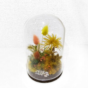 【ふるさと納税】【さとリウム®】プリザーブド加工の テラリウム 秋 1セット 苔テラリウム ガラス瓶 プリザーブド苔 花 木の実 枝葉 枯れない 苔リウム 苔 コケ プリザーブド 観葉植物 グリーン 雑貨 インテリア 観賞用 水やり不要 苔工房アイモス 静岡県 菊川市 送料無料