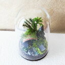 【ふるさと納税】【さとリウム®】プリザーブド加工の テラリウム なごみ(橋)1セット 苔テラリウム ガラス瓶 プリザーブド苔 花 木の実 枝葉 枯れな...
