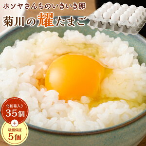 【ふるさと納税】「ホソヤさんちのいきいき卵」菊川の耀たまご 40個セット 卵 たまご タマゴ 玉子 生卵 鶏卵 新鮮 採れたて 産みたて 臭み軽減 お取り寄せ 静岡県 菊川市 送料無料