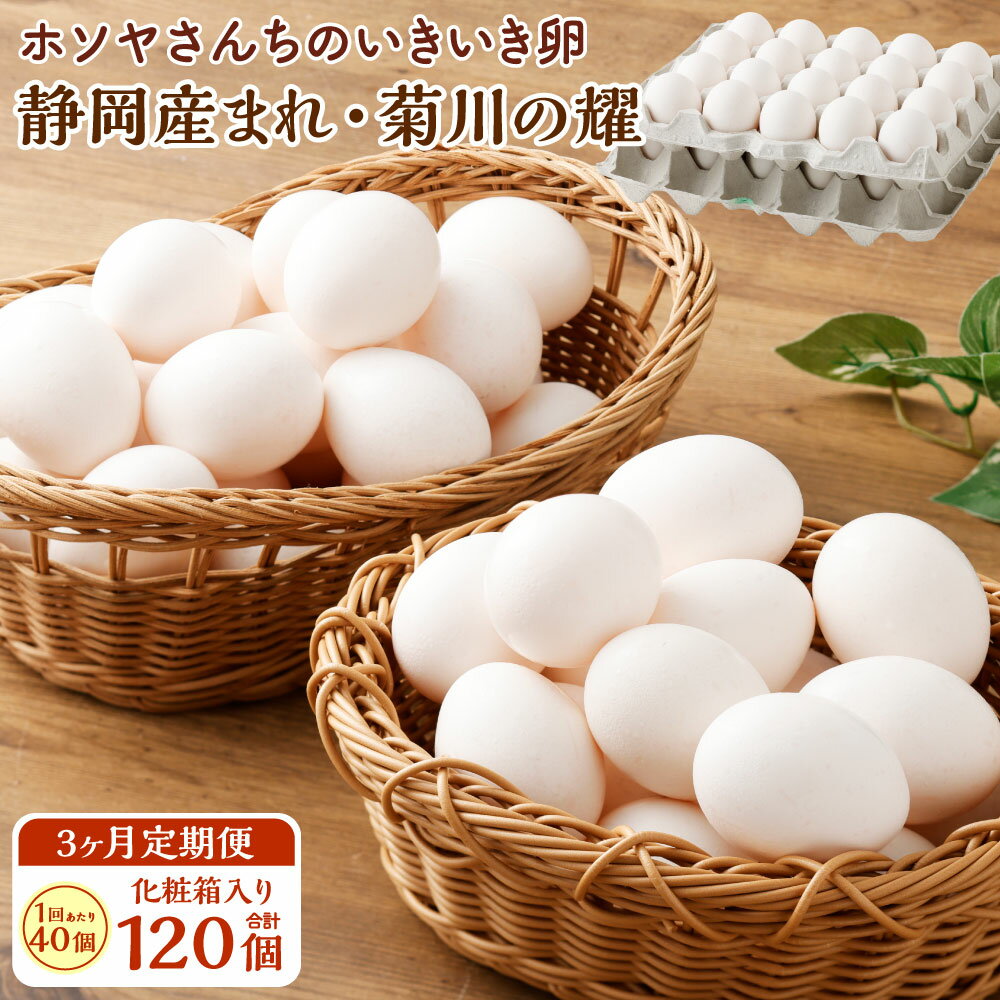 【ふるさと納税】【3ヶ月定期便】「ホソヤさんちのいきいき卵」40個セット 静岡産まれ・菊川の耀たまご 計120個 卵 たまご タマゴ 玉子 生卵 鶏卵 新鮮 採...