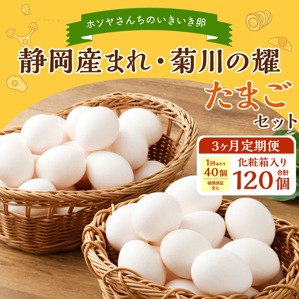 【ふるさと納税】【3ヶ月定期便】「ホソヤさんちのいきいき卵」40個セット 静岡産まれ・菊川の耀たまご 計120個 卵 たまご タマゴ 玉子 生卵 鶏卵 新鮮 採れたて 産みたて 臭み軽減 お取り寄せ 静岡県 菊川市 送料無料