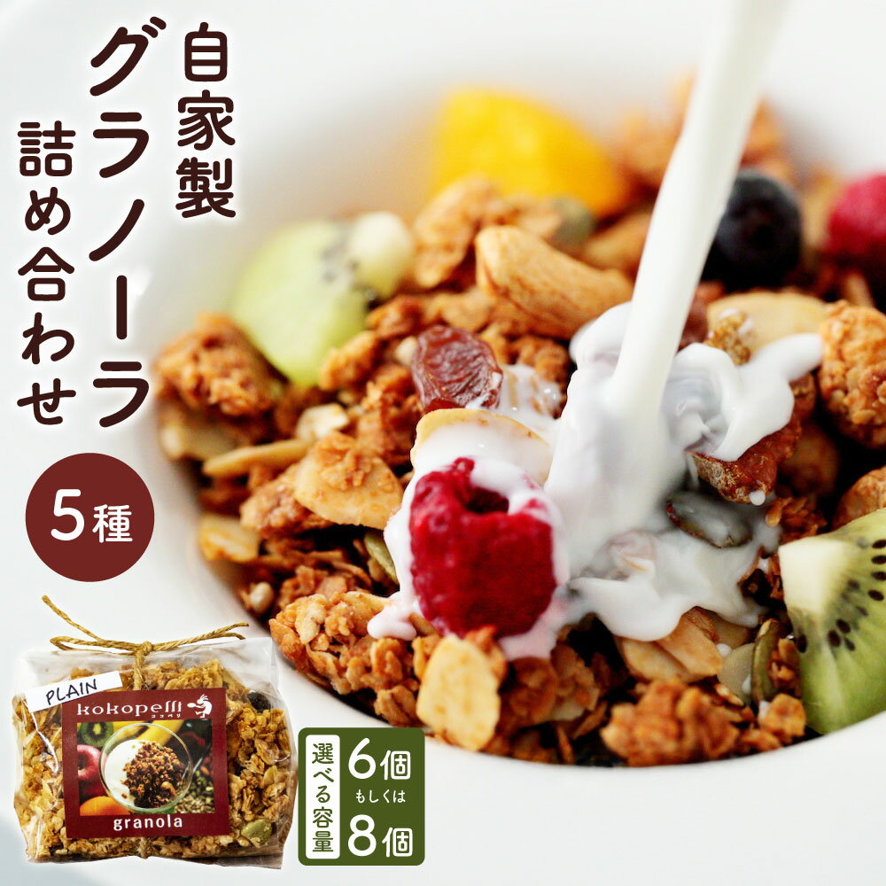 【ふるさと納税】自家製 グラノーラ 5種 詰め合わせ 6個入り もしくは 8個入 1袋あたり100g プレーン 菊川茶 コーヒー スパイス チョコレート シリアル オートミール ナッツ ドライフルーツ 深蒸し茶 朝食 おやつ 手作り 手づくり 食べ比べ セット お取り寄せ 静岡県 菊川市のサムネイル