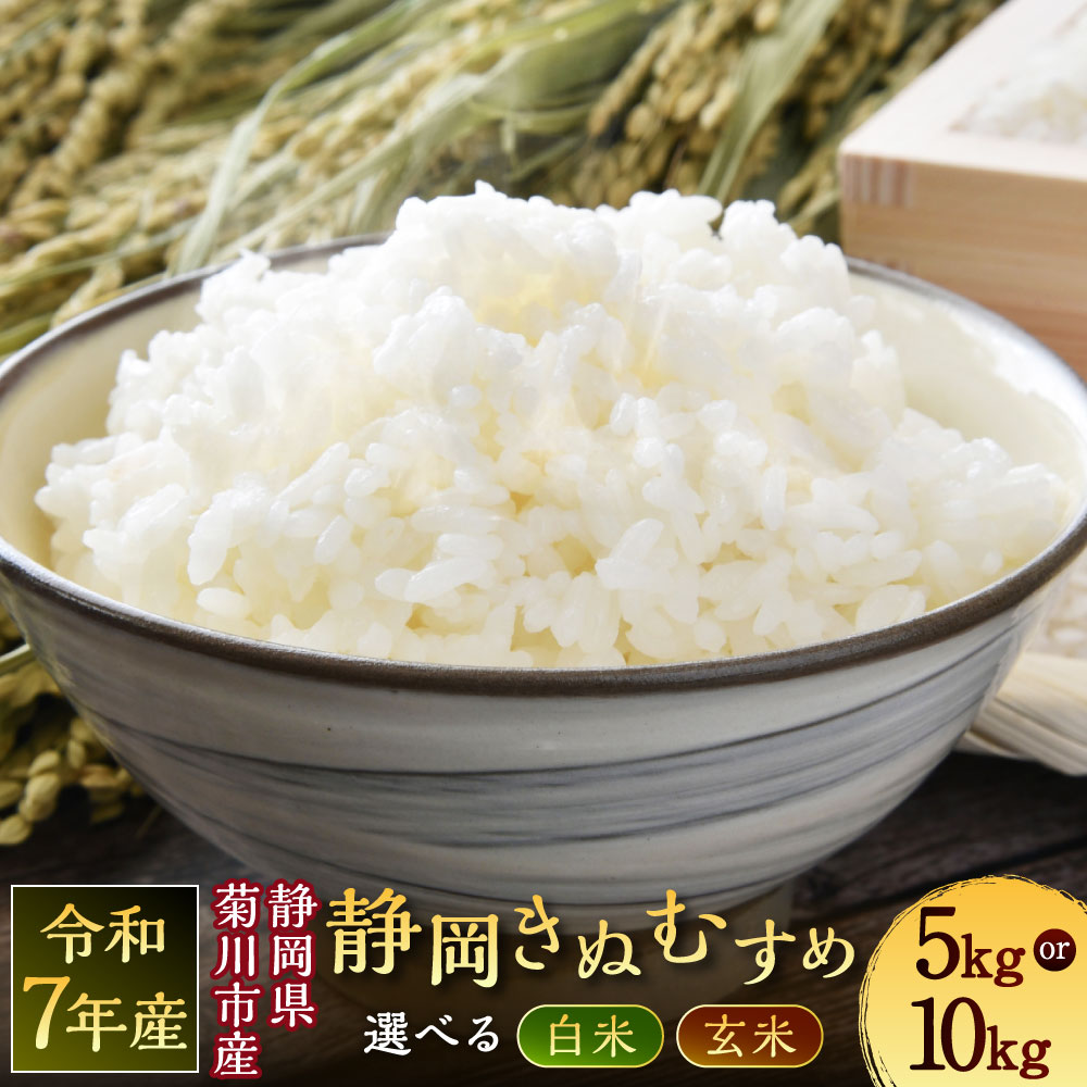 【ふるさと納税】<選べる種類・内容量・発送時期>【令和7年産】菊川市産 静岡きぬむすめ 白米 / 玄米 5kg×1袋 / 10kg×1袋 お米 こめ 精米 単一...