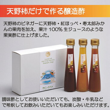 【ふるさと納税】飲むお酢 果実酢 お酢 天野柿のフルーツビネガー (120ml×3本) 010-026