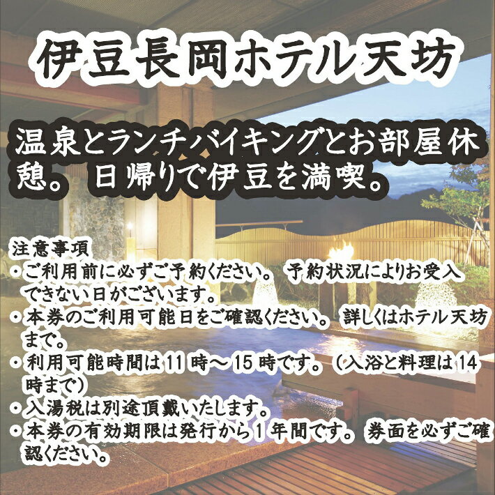 【ふるさと納税】伊豆長岡ホテル天坊 平日限定 日帰り昼食客室休憩利用ペア券 ／ 旅行券 旅行 温泉 チケット 送料無料 静岡県 170831-12その2