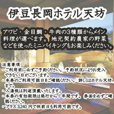 【ふるさと納税】100-012 伊豆長岡ホテル天坊　平日限定　1泊2食付　ペア宿泊券