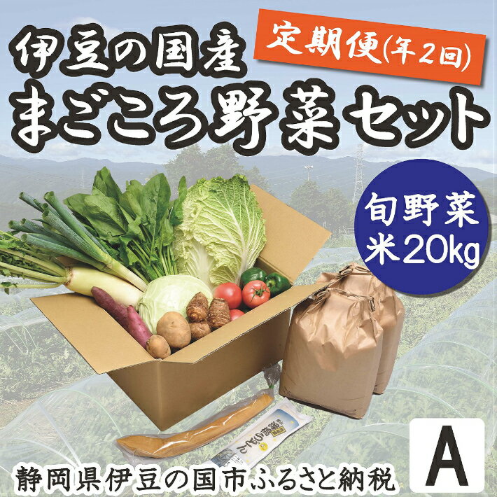 【ふるさと納税】040-003 産地直送！伊豆の国産まごころ野菜定期便Aセット（2回/年）