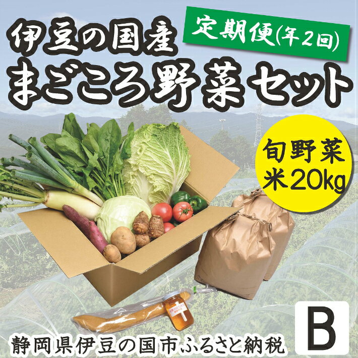 【ふるさと納税】050-004 産地直送！伊豆の国産まごころ野菜定期便Bセット（2回/年）