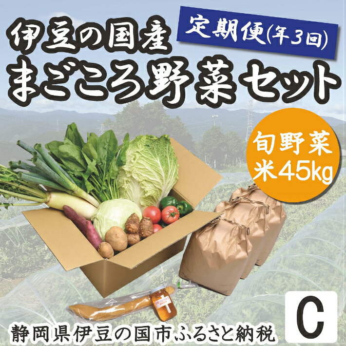 【ふるさと納税】100-002 産地直送！伊豆の国産まごころ野菜定期便Cセット（3回/年）