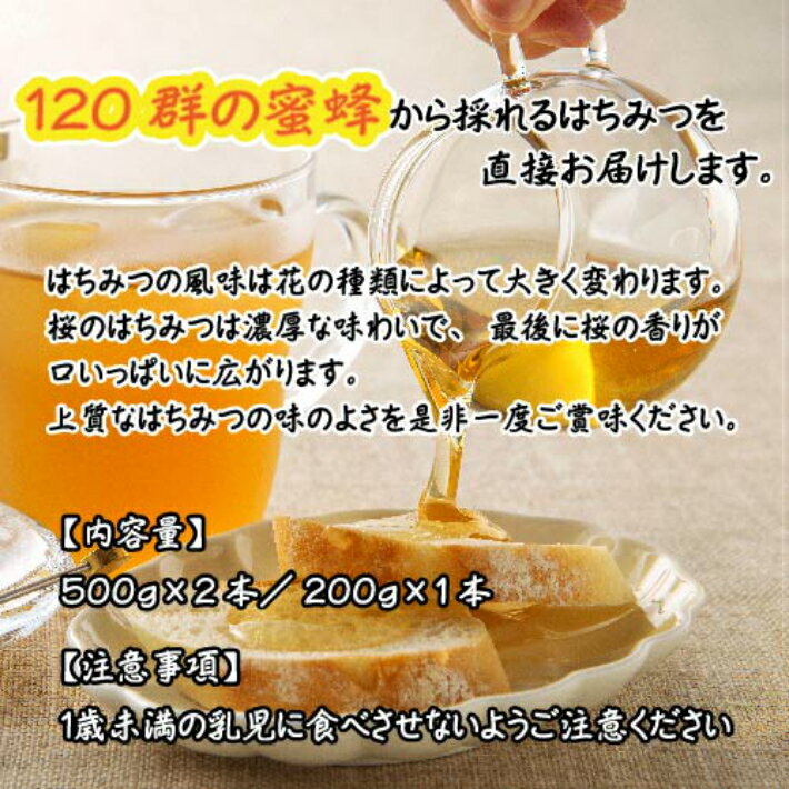 【ふるさと納税】富田養蜂園 桜のはちみつ（500g×2本、200g×1本） ／ 送料無料 静岡県 200910-01