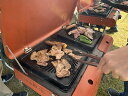 【ふるさと納税】川の駅伊豆城山BBQ利用券(機材レンタル込)/ アウトドア 自然 満喫 家族 友達 ソロ アクティビティ 体験 チケット 狩野川 富士山 伊豆の国 静岡 静岡県
