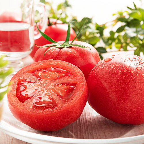 静岡県伊豆の国市の画像3