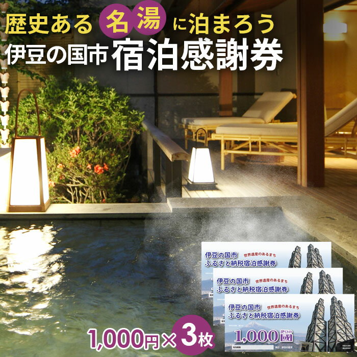 3位! 口コミ数「6件」評価「4.17」伊豆の国市宿泊感謝券（1000円×3枚） ／ 送料無料 静岡県 171101-01