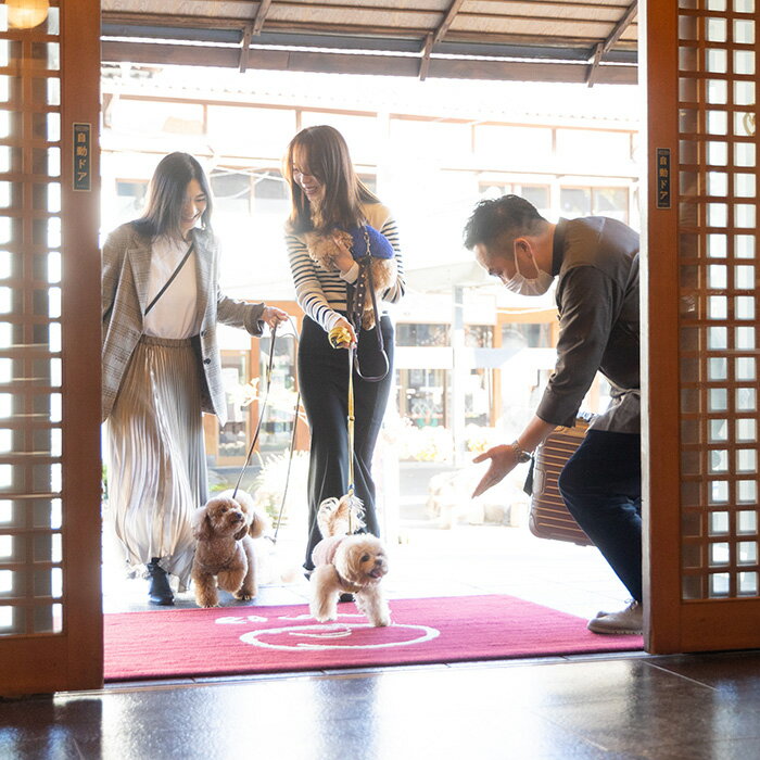 静岡県伊豆の国市の画像3