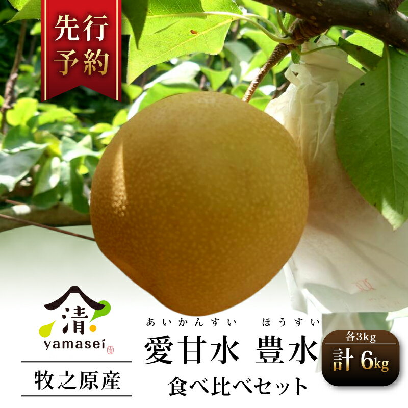 梨 食べ比べセット 愛甘水 豊水 各3kg×2 予約受付 7月中旬より順次発送 フルーツ なし ほうすい あいかんすい 果物 安心 おいしい 国産 山清 yamasei 静岡県 牧之原市