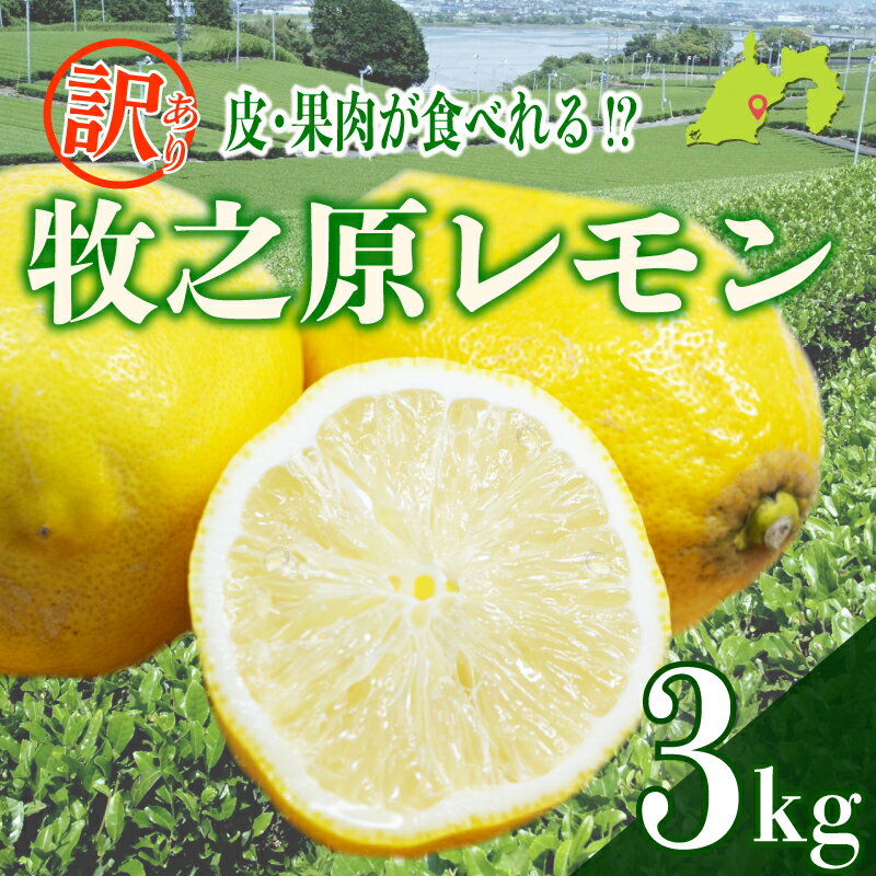 訳ありレモン 3kg わけあり れもん 檸檬 Lemon 柑橘類 柑橘 フルーツ 果物 酸っぱい 果肉 酸味 甘み 璃の香 防腐剤不使用 牧之原レモン 静岡県 牧之原市 果肉食べられる 自宅用 贈答品 くだもの 家庭用 静岡県産おすすめ 美味しい りのか