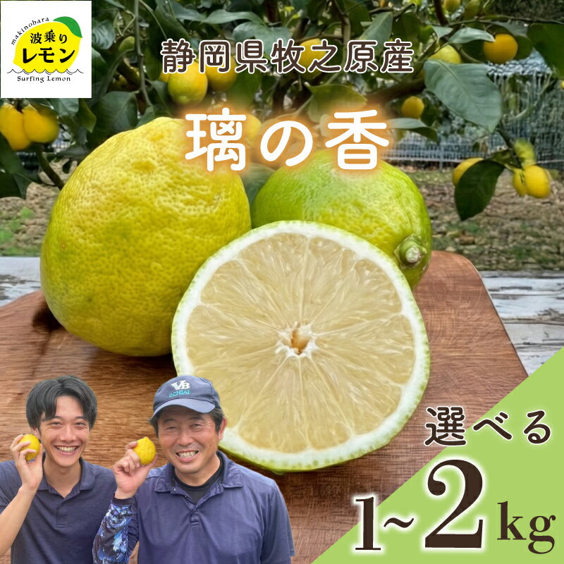 【ふるさと納税】 牧之原産 波乗りレモン 璃の香 選べる 内容量 1〜2kg 国産 Lemon 檸檬 ご家庭用 柑橘類 柑橘 フルーツ 果物 酸っぱい 果肉 酸味 甘み 防腐剤不使用 静岡県 牧之原市 ギフト レモネード レモンケーキ