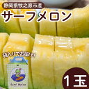 【ふるさと納税】 メロン サーフメロン 1玉 マスクメロン フルーツ 果物 高級 ギフト プレゼント 贈答 おいしい ハウス栽培 甘い ジューシー ケーティー ...