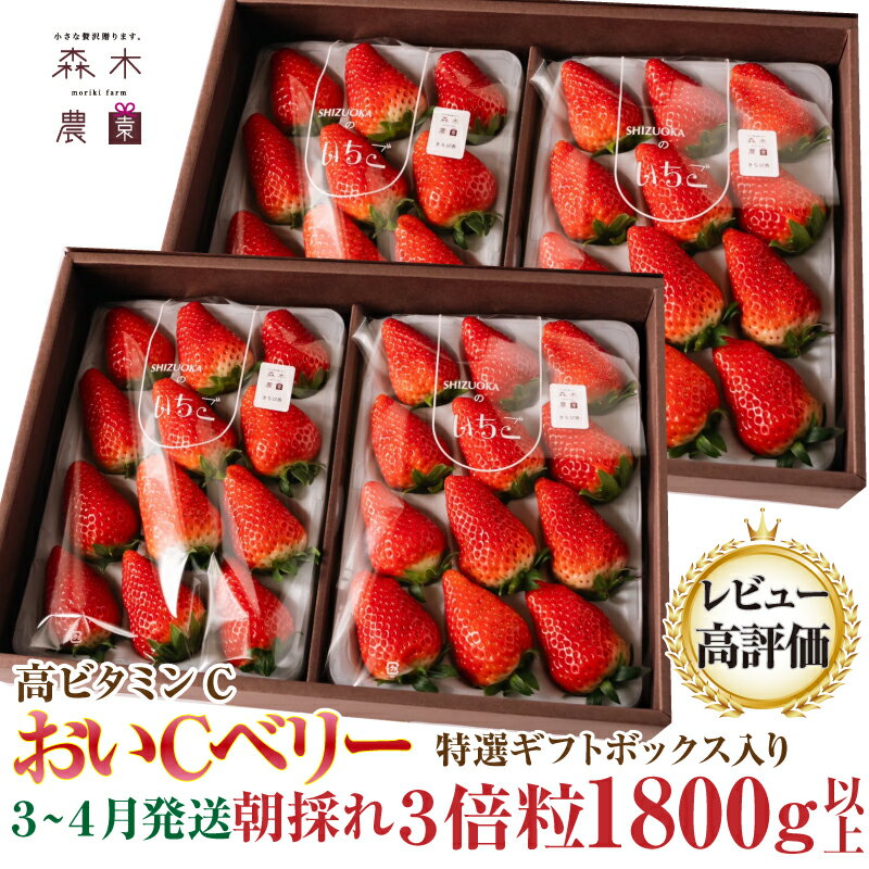 【ふるさと納税】 3月~4月発送 超特大 おいCベリー 計1.8kg 以上 森木農園 いちご 苺 フルーツ ストロベリー ギフト 甘い ブランド ジャム スムージー 健康 ビタミン 旬 季節 特産品 贈り物 デザート 産地直送 朝採れ 新鮮 牧之原市 静岡県のサムネイル