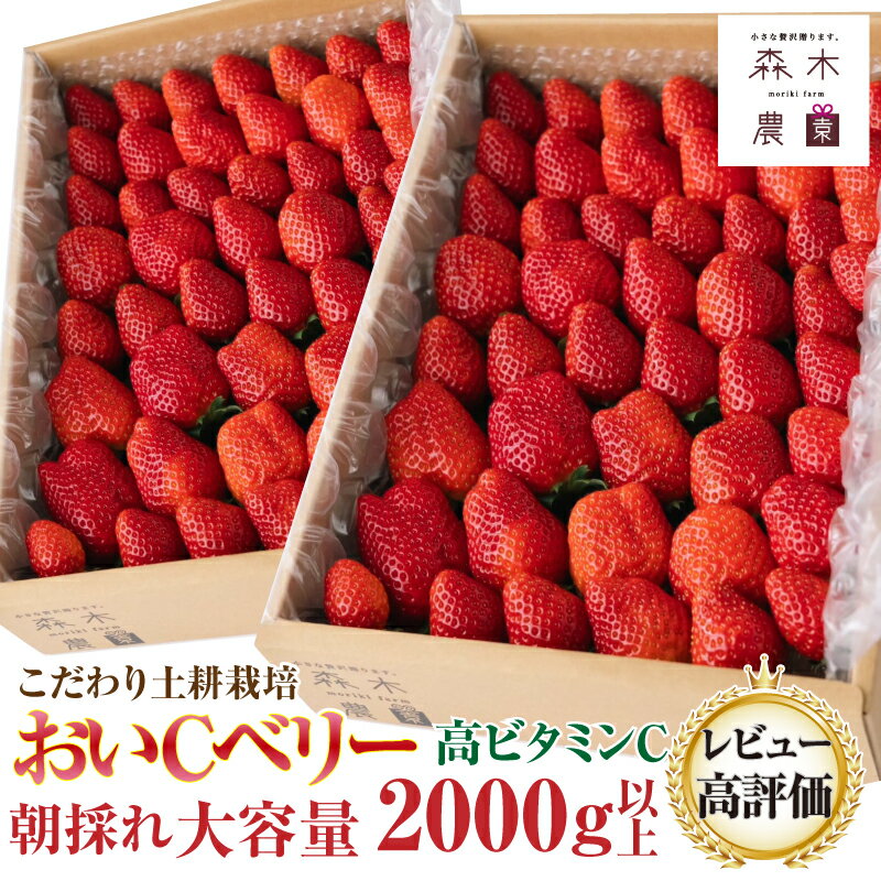 【ふるさと納税】060-4 ビタミンC含有量No.1☆ 完熟 いちご『 おいCベリー』　合計2000g以上 / 苺 フルーツ 果物のサムネイル