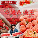 【ふるさと納税】 先行予約 国産 いちご ジャンボ章姫いちご&桃薫いちごセット 12?18粒入り × 2パック フルーツ スイーツ デザート くだもの 果物 ストロベリー 甘い おいしい 大粒 濃厚 新鮮 静岡県 牧之原市 藤田農園
