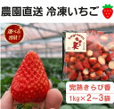 【ふるさと納税】 冷凍 いちご きらぴ香 完熟 2kg 3kg 選べる 容量 イチゴ 苺 果物 スイーツ デザート アイス 氷菓 ギフト 贈答 用 萩埜園 牧之原 市 静岡県