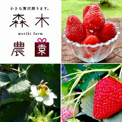 アイテムID:366685の画像1枚目