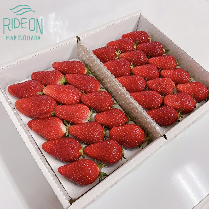 【ふるさと納税】 150-4　【先行予約】ジャンボ章姫いちご15粒入り×2パックのサムネイル