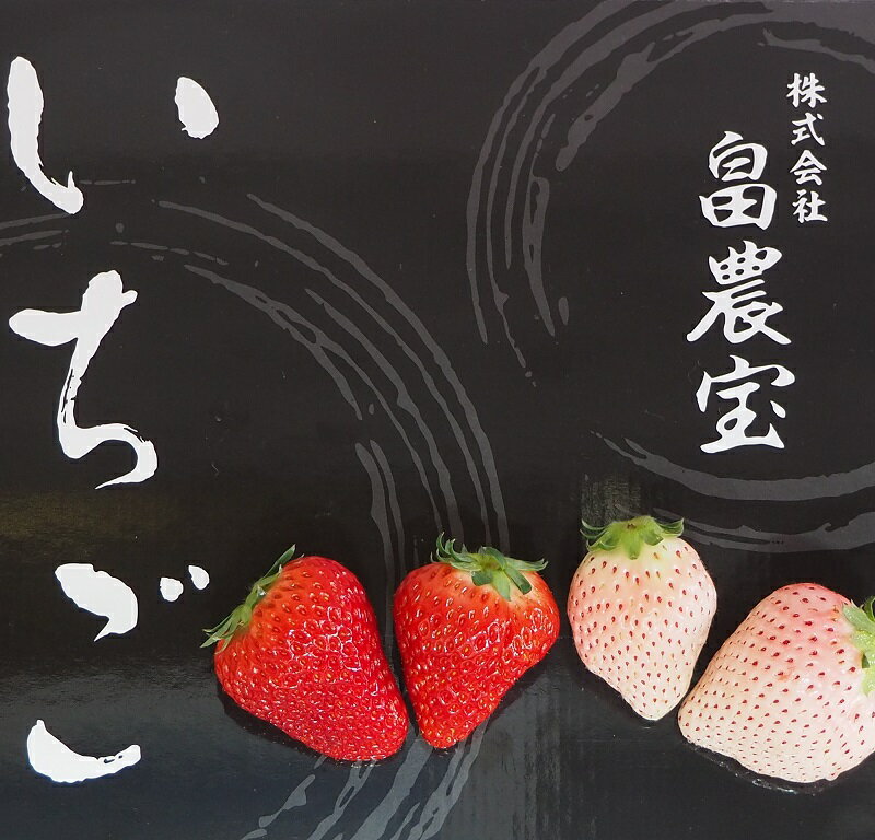 【ふるさと納税】115-2 高級紅白いちごセット 白いちご「Sweet milk berry」 赤いちご「紅ほっぺ」白×1パック約400g 赤×1パック約400gイチゴ 苺