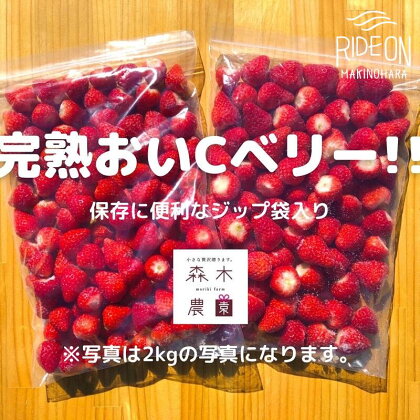 060-3 ビタミンC含有量No.1 完熟冷凍いちご（おいCベリー）2kg (ジップロックに1キロ×2袋) / フルーツ 果物 イチゴ