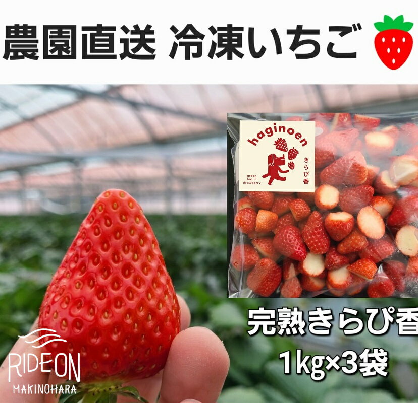 116-2　冷凍いちご3kg　静岡県限定栽培の特別ないちご「きらぴ香」