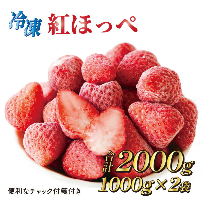 完熟冷凍いちご2kg 森木農園が育てる 濃く甘いちご『紅ほっぺ』1kgチャック付き×2袋 / デザート イチゴ フルーツ 果物 国産