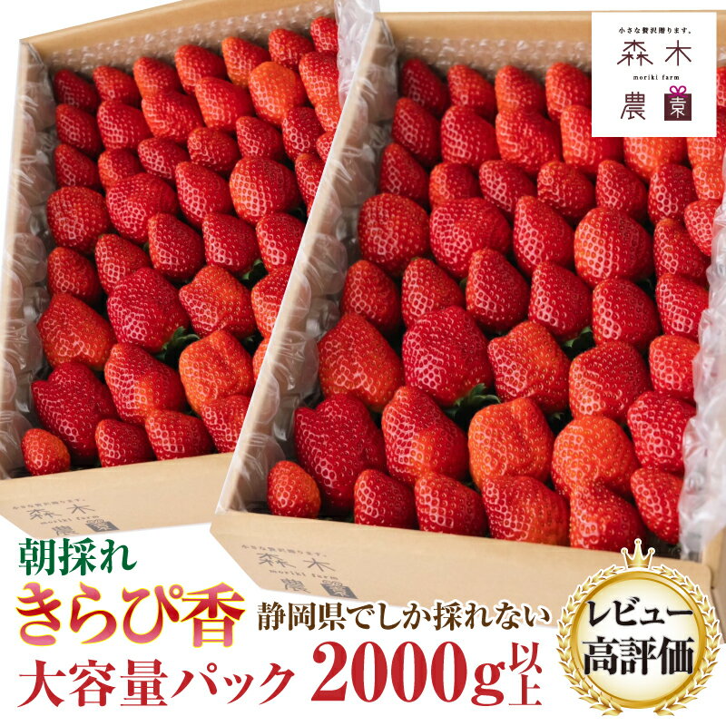 【ふるさと納税】060-18 完熟☆濃く甘 いちご『きらぴ香』 合計2000g以上！ ※静岡限定品種 / いちご 苺 フルーツ 果物 冬のサムネイル