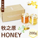 【ふるさと納税】 牧之原HONEY はちみつ 100g × 2瓶 蜂蜜 みかん 国産 中嶋養蜂園 ギフト 贈答品 高糖度 保存食 母の日 父の日 敬老の日 簡単...