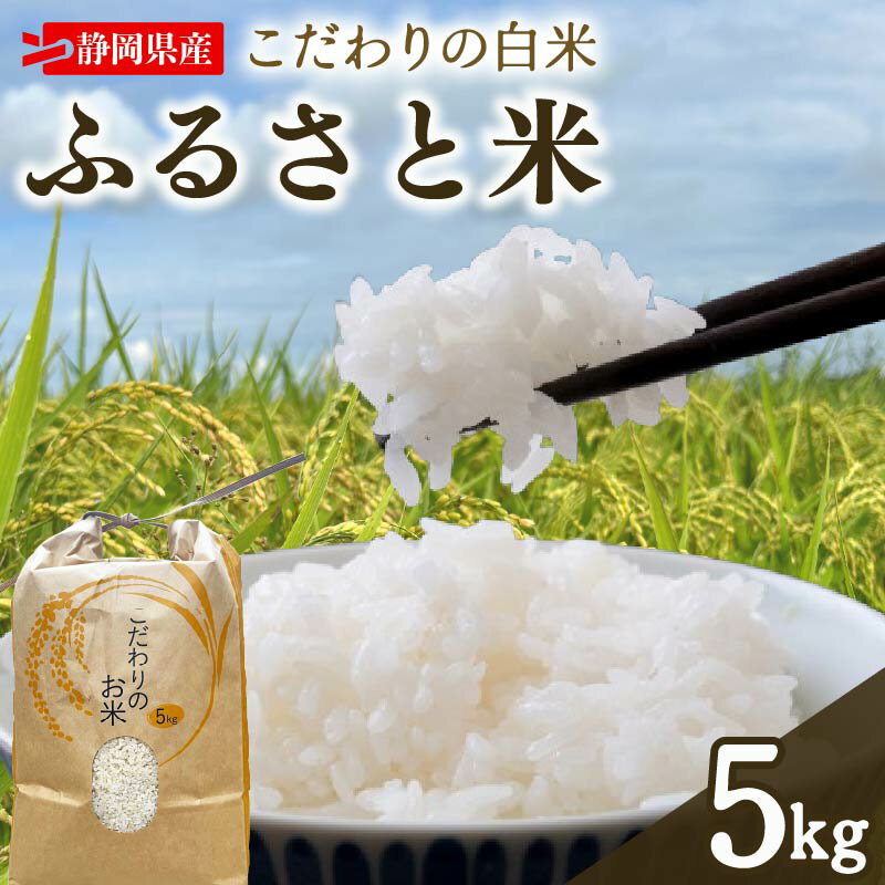 米 白米 新米 5kg お米 精米 令和7年度産 ふるさと米 先行予約 キヌヒカリ きぬひかり ニジノキラメキ にじのきらめき キヌムスメ きぬむすめ ごはん ケーティー 静岡県 牧之原市 ~牧之原から採れたてのお米をお届けします~
