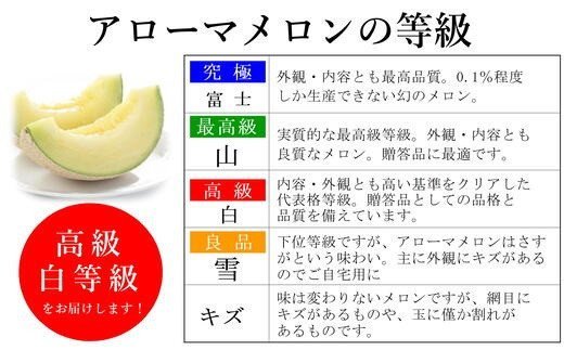 【ふるさと納税】 013-19 静岡県産　アローマメロン 白級 2玉 化粧箱入 高級 甘い ジューシー ブランドメロン 極み