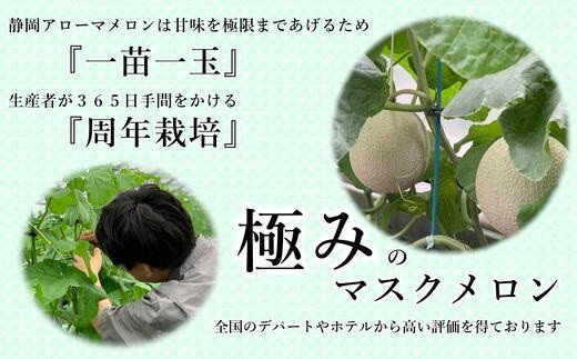 【ふるさと納税】013-14　静岡県産 マスクメロン 最高級温室アローマメロン 山級 1玉（1.3kg～1.5kg）化粧箱入り/ 事業者支援 デザート甘い スイーツ 果物 静岡県