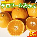 【ふるさと納税】 みかん 早生みかん 約 5kg 宮川 興津早生 ミカン 柑橘 蜜柑 ビタミン おいしい 果樹園 直送 甘い 有機肥料 テロワール 早生 温州 みかん いたくら農園 静岡県 牧之原市