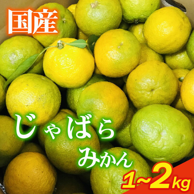 いたくら農園直送 じゃばら 1~2kg以上 11月中旬〜12月発送 柑橘 みかん いたくら農園果汁 果実 農家直送 産地直送 ギフト プレゼント 贈答 お中元 お歳暮 美味しい 新鮮 国産 安心 静岡みかん 静岡蜜柑 牧之原みかん