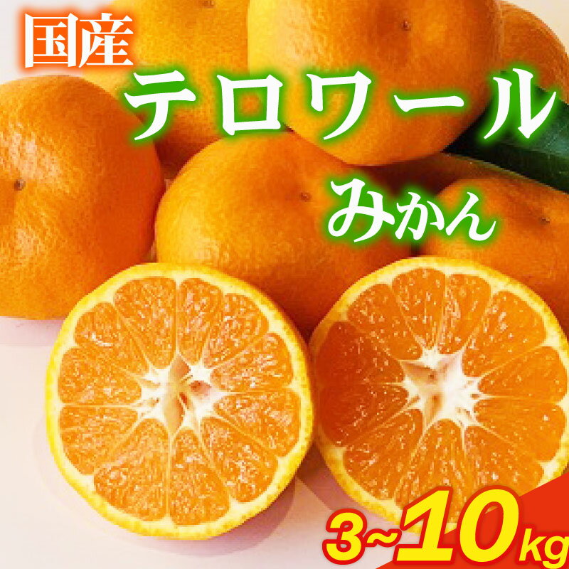 選べる 容量! 果樹園直送 美味しさが濃いね! テロワールみかん 3~10kg (12月〜1月発送) 柑橘 みかん いたくら農園 果実 農家直送 産地直送 ギフト プレゼント 贈答 お中元 お歳暮 美味しい 新鮮 国産 安心 静岡みかん 静岡蜜柑 牧之原みかん