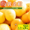 【ふるさと納税】 訳あり 黄金柑 1.5 ~ 3 kg 低農薬 無化学肥料 みかん ミカン おうごんかん フルーツ 果物 くだもの 柑橘 かんきつ ビタミンC 富士長株式会社 静岡県 牧之原市 わけあり ワケアリ ゴールデンオレンジ
