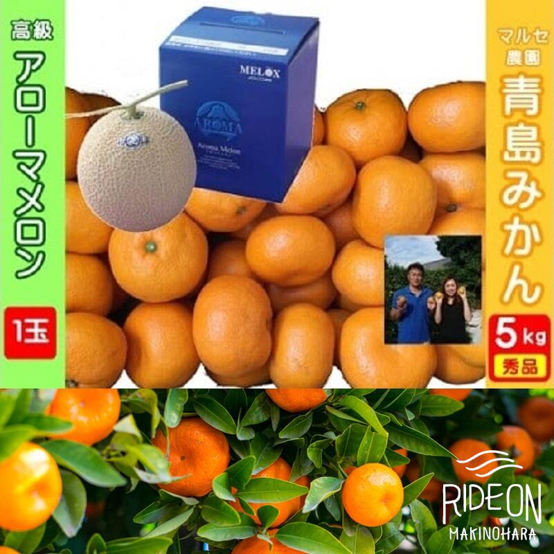 【ふるさと納税】 アローマメロン 青島みかん セット 静岡 特産品 贈答用 果物 フルーツ 高級 ギフト ..